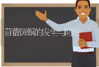 苜蓿斑螟的发生与防治