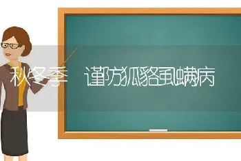 秋冬季 谨防狐貉虱螨病