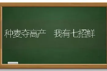 种麦夺高产 我有七招鲜