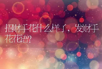 招财手花什么样子