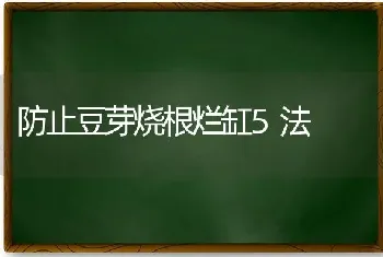 防止豆芽烧根烂缸5法