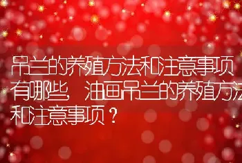 吊兰的养殖方法和注意事项有哪些