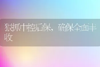 狠抓中控后保,确保全面丰收