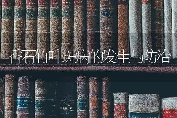 香石竹叶斑病的发生与防治