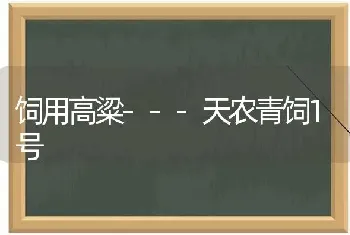 饲用高粱---天农青饲1号