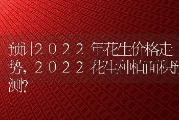 预计2022年花生价格走势