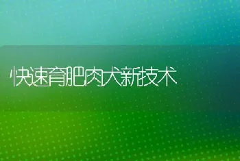 快速育肥肉犬新技术