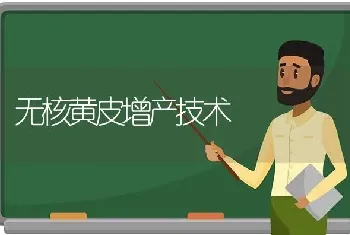 无核黄皮增产技术