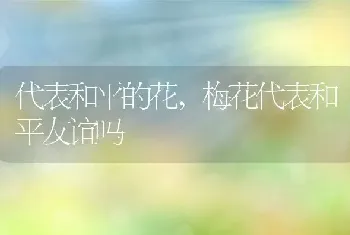 代表和平的花