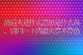 清道夫是什么意思是什么鱼