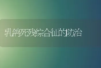 乳鸽死残综合征的防治