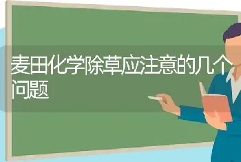 麦田化学除草应注意的几个问题