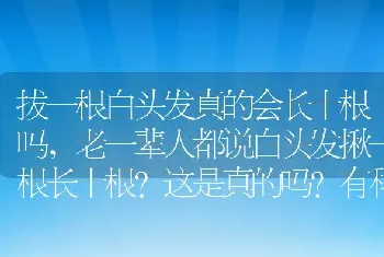 拔一根白头发真的会长十根吗