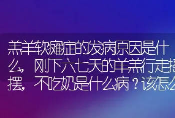 羔羊软瘫症的发病原因是什么