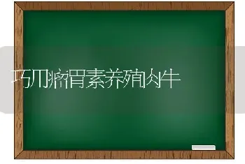 巧用瘤胃素养殖肉牛