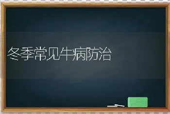 冬季常见牛病防治