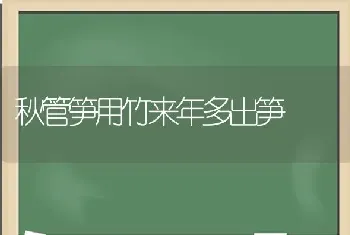 秋管笋用竹来年多出笋