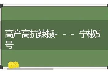 高产高抗辣椒---宁椒5号