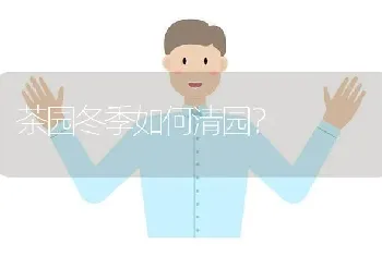 茶园冬季如何清园?