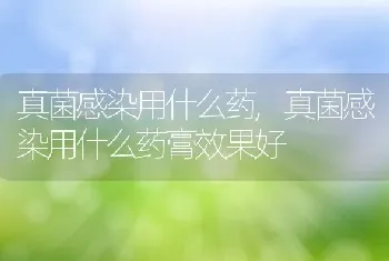 真菌感染用什么药