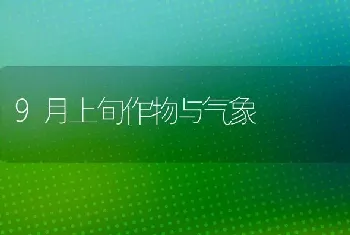 9月上旬作物与气象