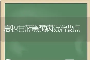 前几天浇了一次大水,番茄叶子突然变黄,怎样解决