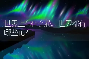 世界上有什么花