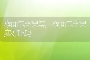 猴面包树果实,猴面包树果实好吃吗