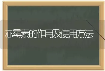 赤霉素的作用及使用方法