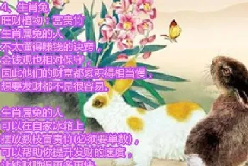 什么属相能养猫能旺财