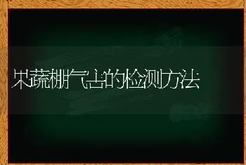 蜜柚珍品——黄肉蜜柚(又名黄金柚)