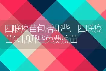 四联疫苗包括哪些