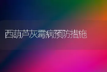 西葫芦灰霉病预防措施