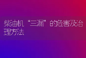 柴油机“三漏”的危害及治理方法