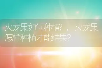 火龙果如何种植?