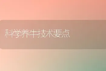 科学养牛技术要点