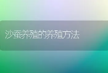 沙蚕养殖的养殖方法