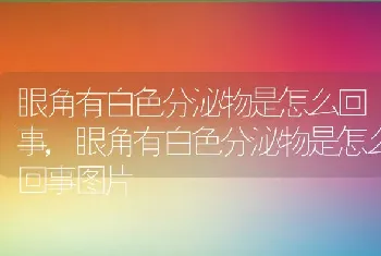 眼角有白色分泌物是怎么回事,眼角有白色分泌物是怎么回事图片