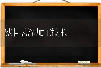 紫甘薯深加工技术