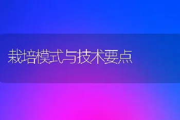 栽培模式与技术要点