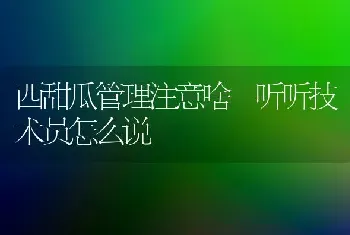 庭院石榴栽培技术要点