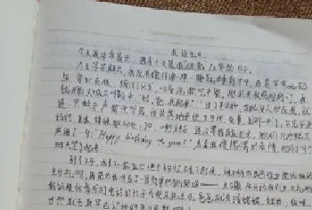 随笔是什么意思