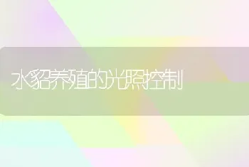 水貂养殖的光照控制