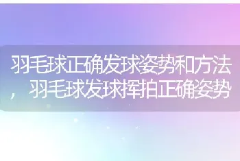 羽毛球正确发球姿势和方法