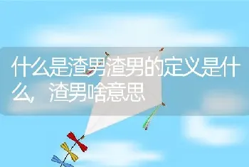 什么是渣男渣男的定义是什么