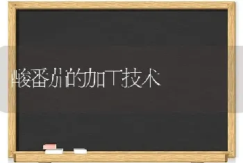 酸番茄的加工技术