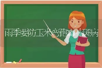 抗虫皖杂40