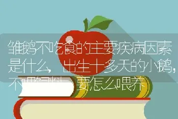 雏鹅不吃食的主要疾病因素是什么