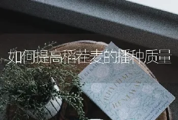 番茄花脸病怎样防治