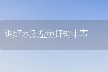 调好水质避免虾蟹中毒